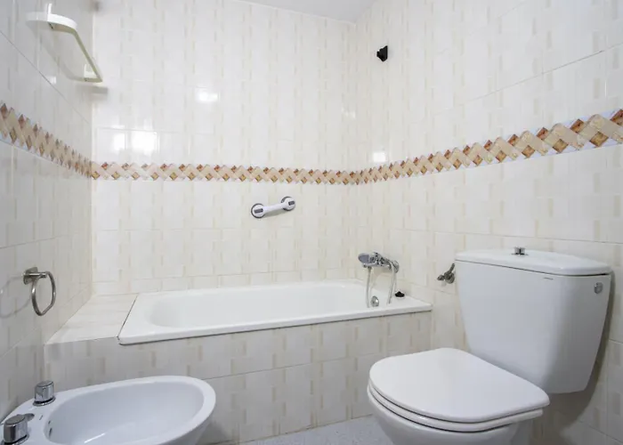 Alegria Id24 * トレビエハ