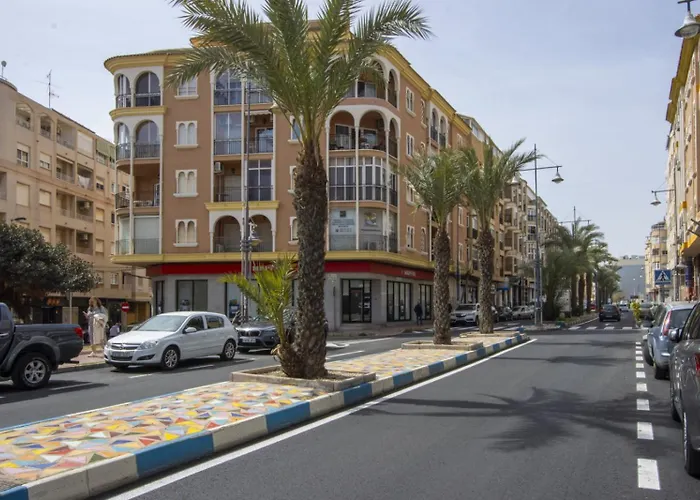 Alegria Id24 * トレビエハ